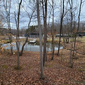 Greensboro 2/2023 - Pond in the middle of Revolution Ridge loop
