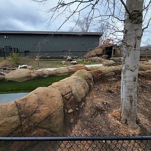 Greensboro 2/2023 - Pygmy hippo yard