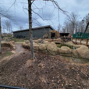 Greensboro 2/2023 - Pygmy hippo yard