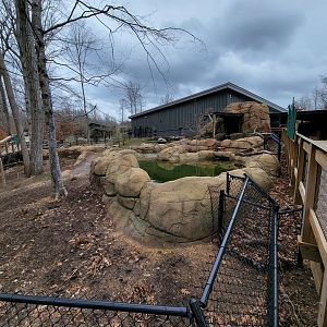 Greensboro 2/2023 - Pygmy hippo yard