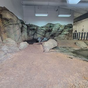 Greensboro 2/2023 - Pygmy hippo indoor space