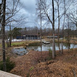 Greensboro 2/2023 - Pond, vet building