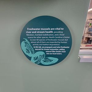 Greensboro 2/2023 - Animal Hospital, freshwater mussel info
