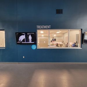 Greensboro 2/2023 - Animal Hospital, treatment viewing window