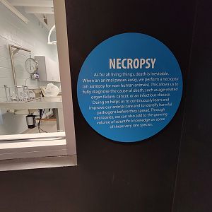Greensboro 2/2023 - Animal Hospital, info about why necropsies are important