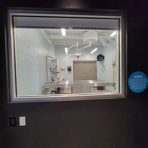 Greensboro 2/2023 - Animal Hospital, necropsy viewing window