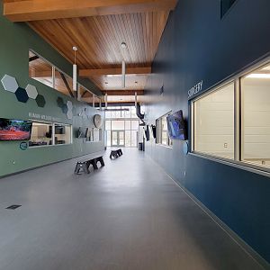 Greensboro 2/2023 - Animal Hospital