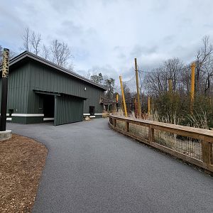 Greensboro 2/2023 - Small cat building