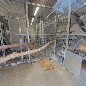 Greensboro 2/2023 - Serval indoor area