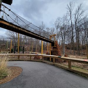 Greensboro 2/2023 - Serval yard