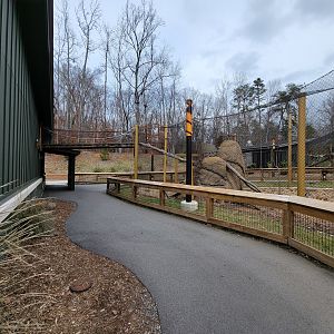 Greensboro 2/2023 - Overhead walkway to small BFC outdoor area