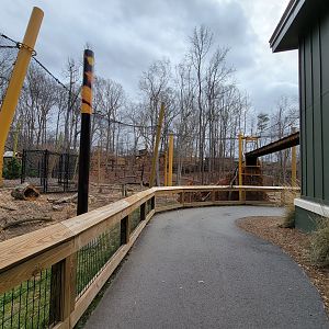 Greensboro 2/2023 - Serval yard