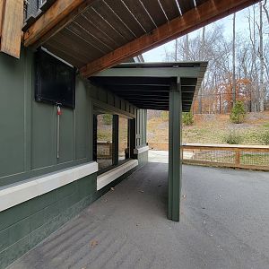 Greensboro 2/2023 - Black-footed cat viewing window