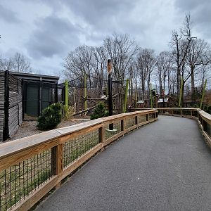 Greensboro 2/2023 - Red pandas