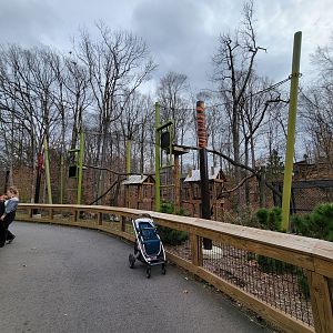 Greensboro 2/2023 - Red pandas