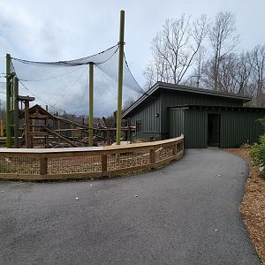 Greensboro 2/2023 - Red pandas, indoor viewing building