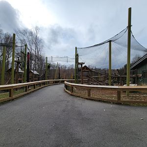 Greensboro 2/2023 - Red pandas