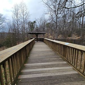 Greensboro 2/2023 - Maned wolf boardwalk