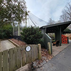 Greensboro 2/2023 - Fossa yard