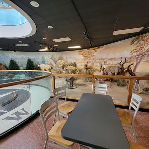 Greensboro 2/2023 - Building lower level, taxidermy around pendulum