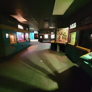 Greensboro 2/2023 - Herpetarium