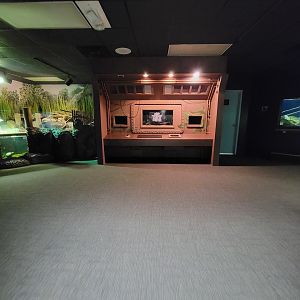 Greensboro 2/2023 - Herpetarium, old interactive thing