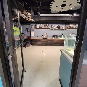 Greensboro 2/2023 - Herpetology Lab