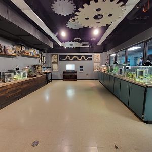 Greensboro 2/2023 - Herpetology Lab