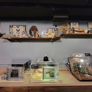 Greensboro 2/2023 - Herpetology Lab