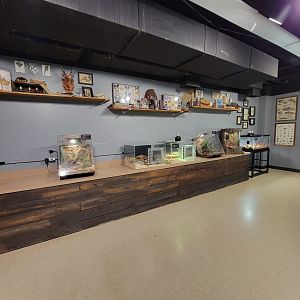 Greensboro 2/2023 - Herpetology Lab