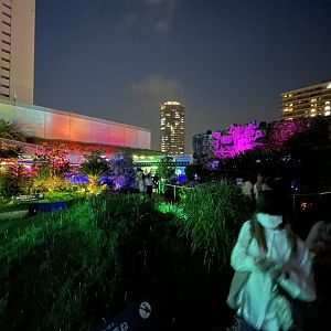 Outdoor section at night