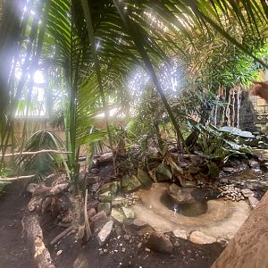 Tropical House ground floor view 060523