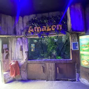 Aquarium exhibit 150523
