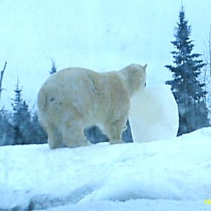 Better save the fun for later