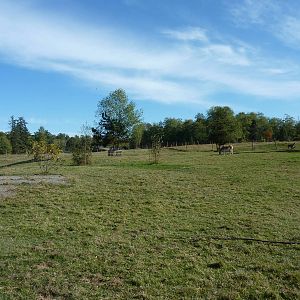 1 Acre Kulan Enclosure