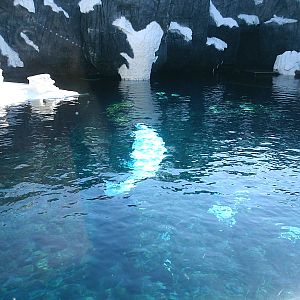 Sea World October 2008