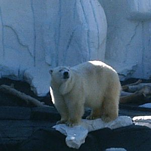 Sea World October 2008