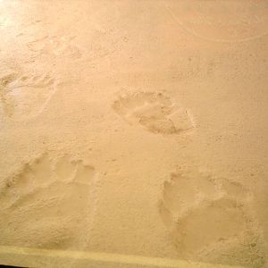 Sea World October 2008