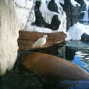 Sea World October 2008