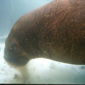 Sea World October 2008