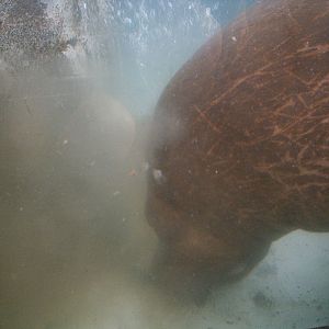 Sea World October 2008