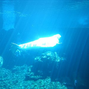 Sea World October 2008