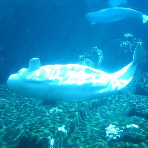 Sea World October 2008