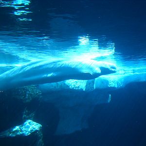 Sea World October 2008