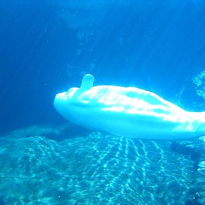 Sea World October 2008