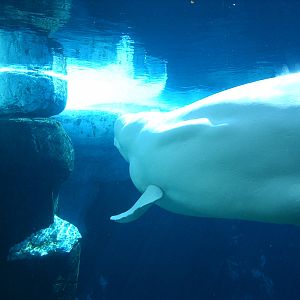 Sea World October 2008