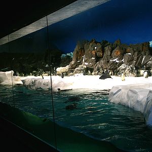 Sea World October 2008