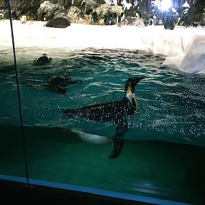 Sea World October 2008