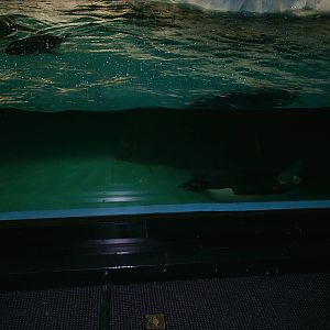 Sea World October 2008