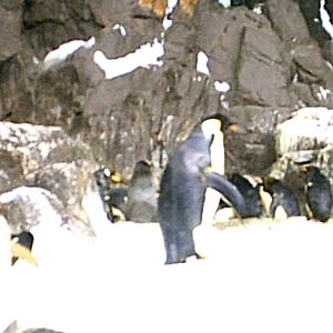 Sea World October 2008